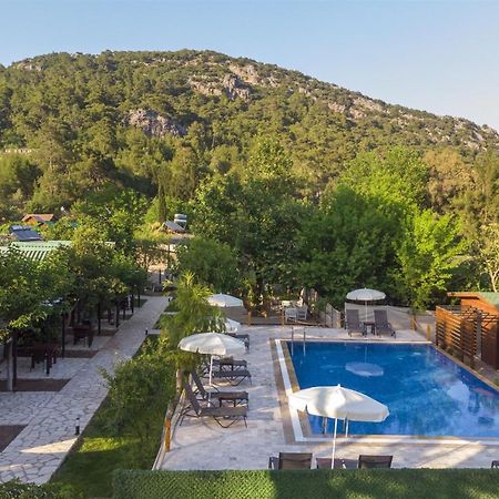 Koala Bungalows Olympos Zewnętrze zdjęcie