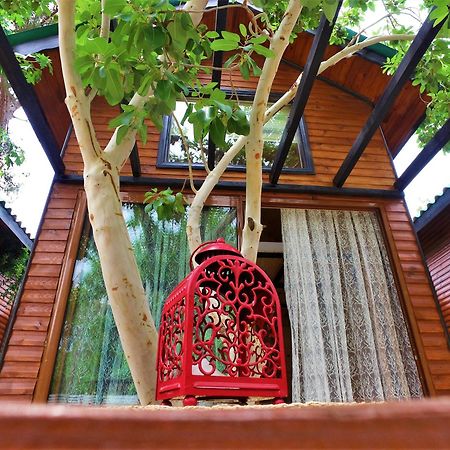Koala Bungalows Olympos Zewnętrze zdjęcie