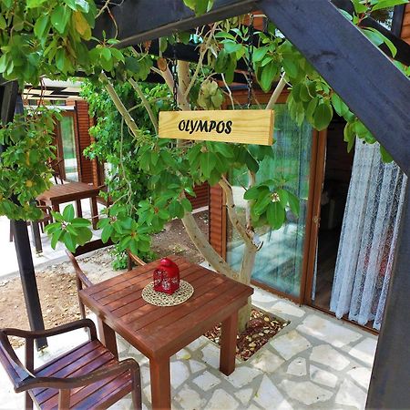 Koala Bungalows Olympos Zewnętrze zdjęcie