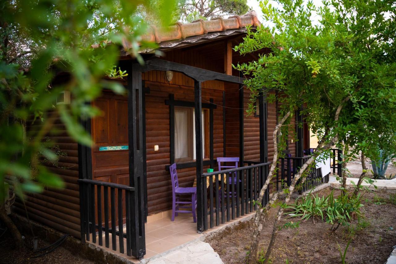 Koala Bungalows Olympos Zewnętrze zdjęcie