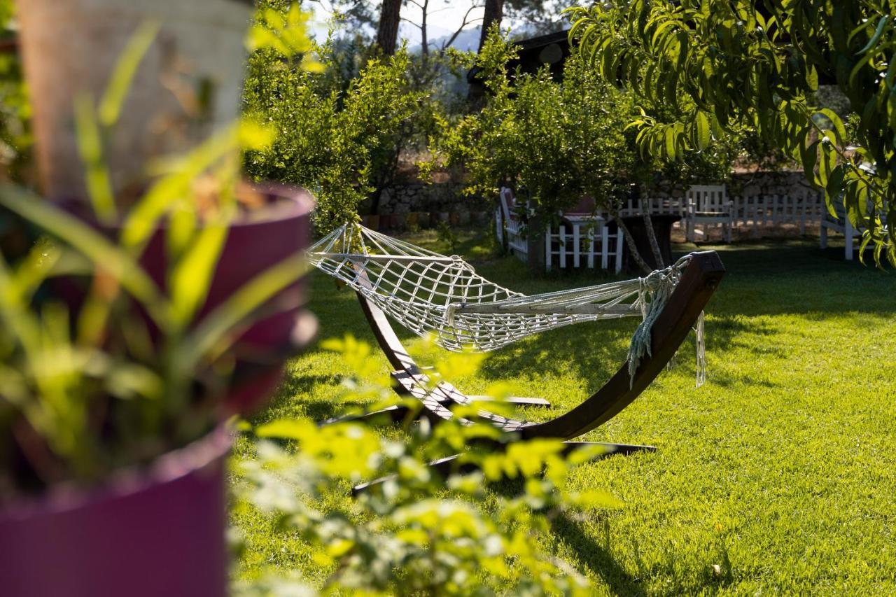 Koala Bungalows Olympos Zewnętrze zdjęcie