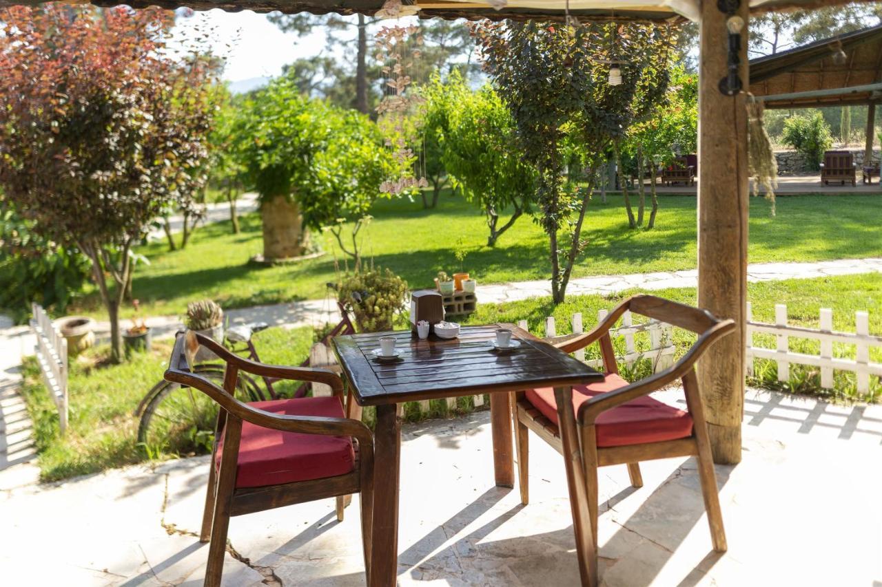 Koala Bungalows Olympos Zewnętrze zdjęcie