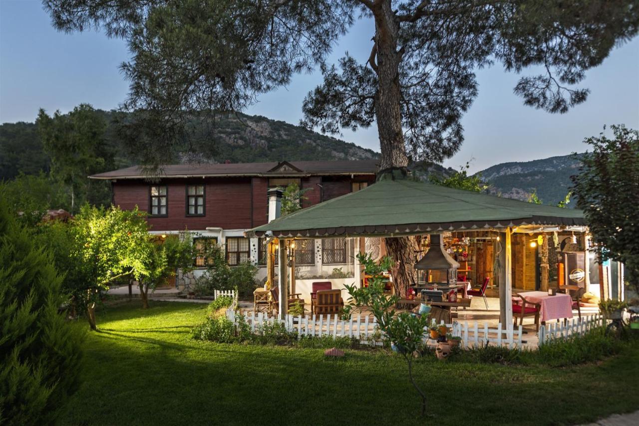 Koala Bungalows Olympos Zewnętrze zdjęcie