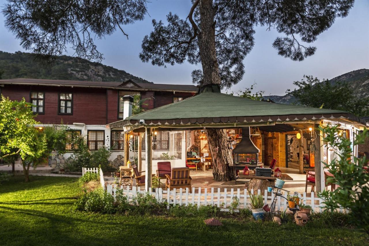 Koala Bungalows Olympos Zewnętrze zdjęcie