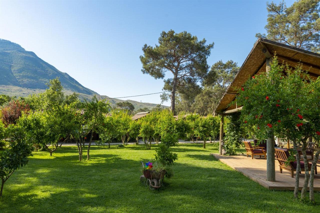 Koala Bungalows Olympos Zewnętrze zdjęcie