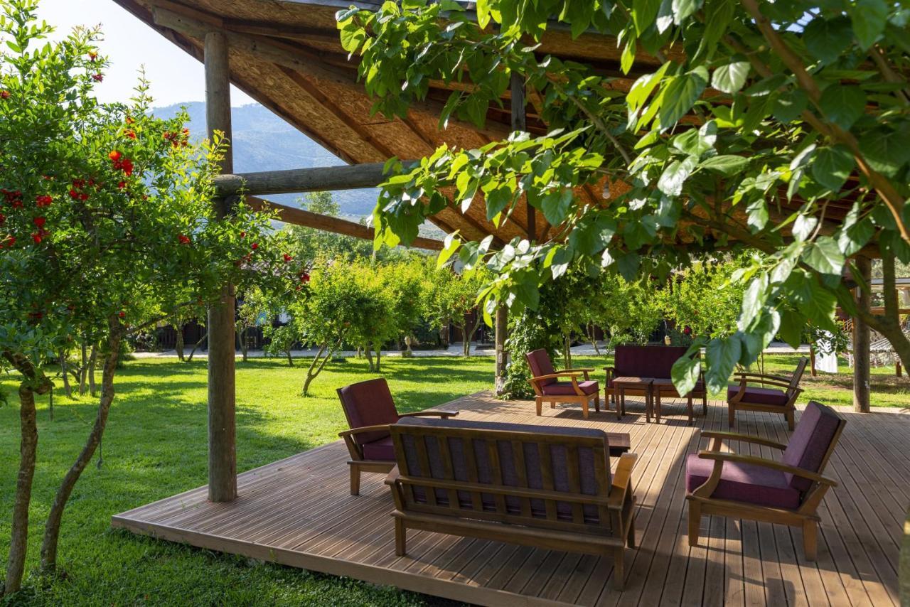 Koala Bungalows Olympos Zewnętrze zdjęcie