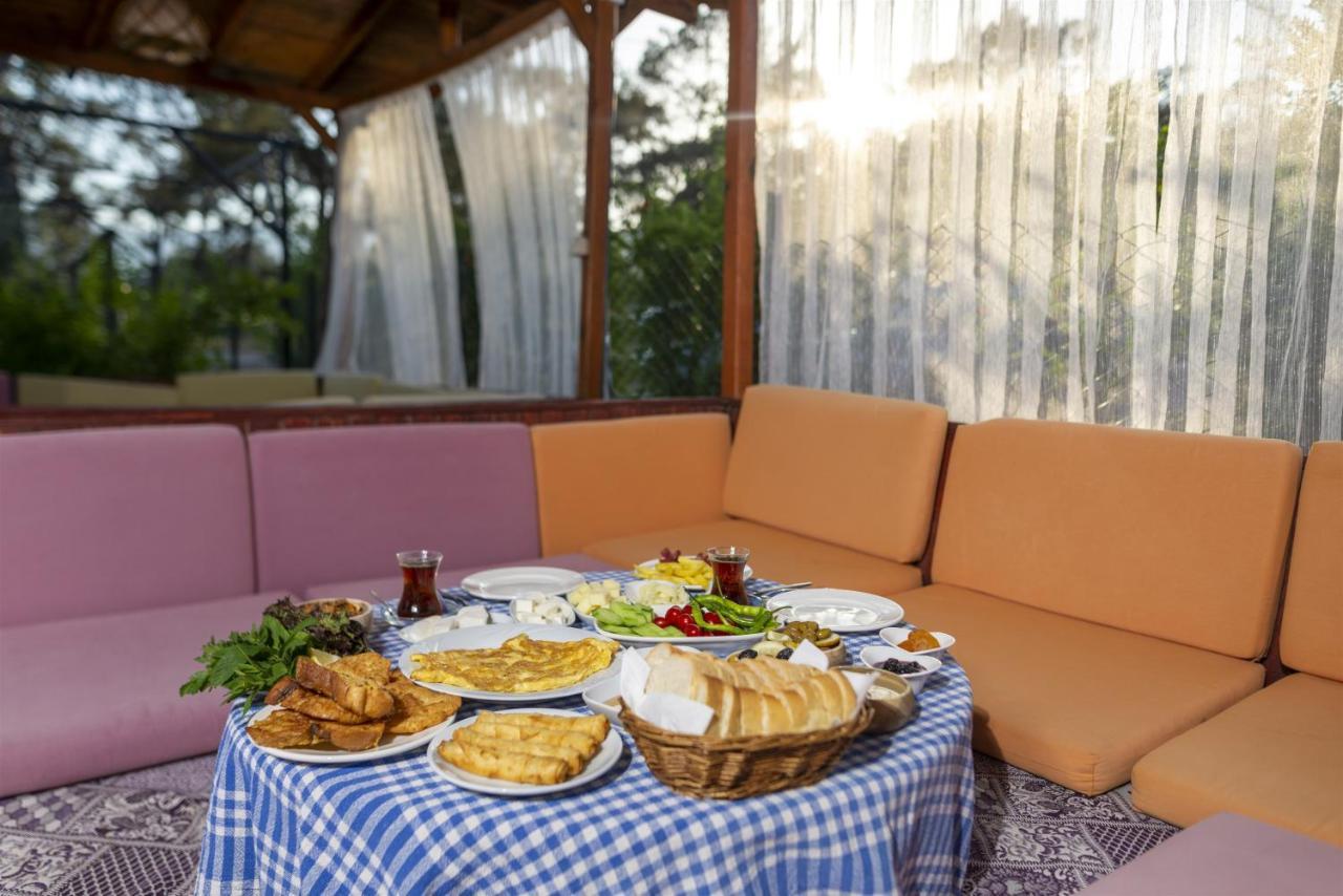 Koala Bungalows Olympos Zewnętrze zdjęcie