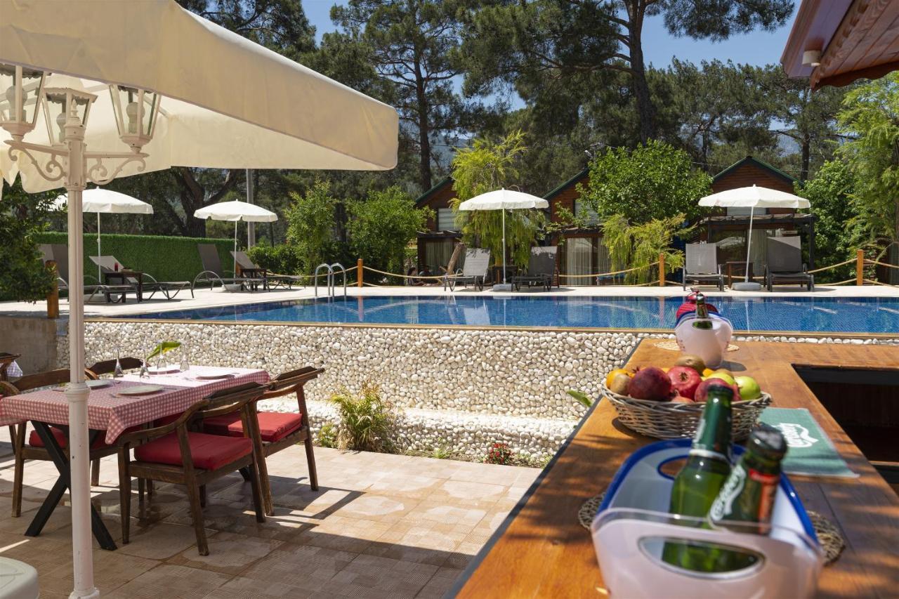 Koala Bungalows Olympos Zewnętrze zdjęcie