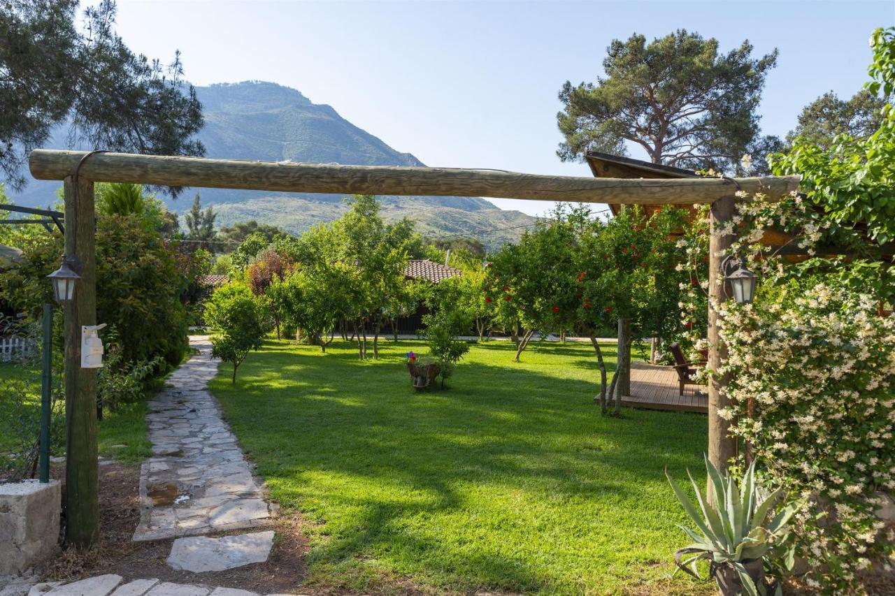 Koala Bungalows Olympos Zewnętrze zdjęcie