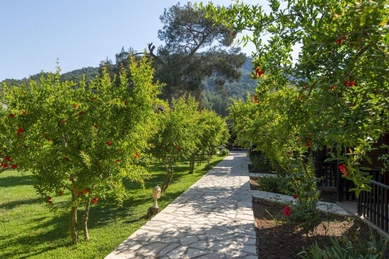 Koala Bungalows Olympos Zewnętrze zdjęcie