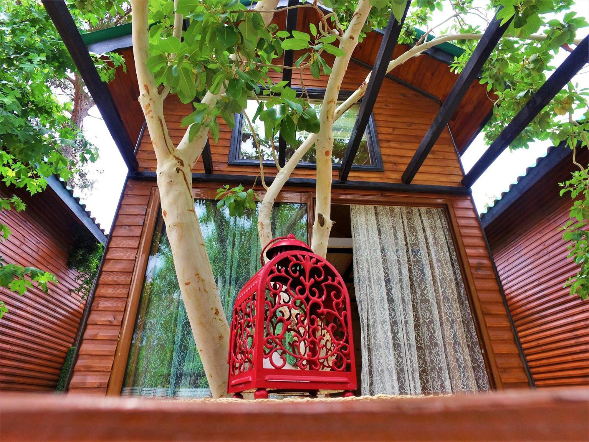 Koala Bungalows Olympos Zewnętrze zdjęcie