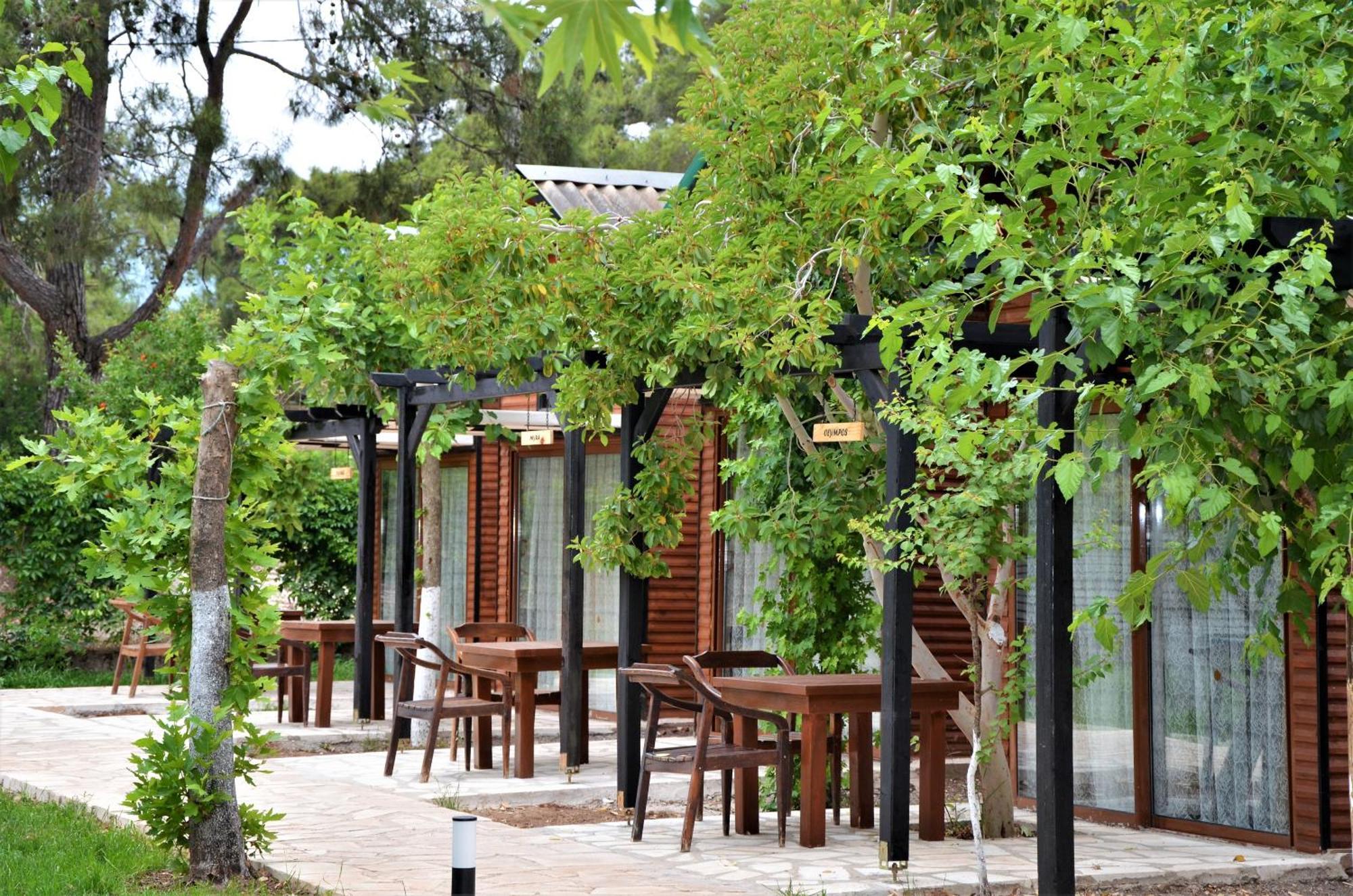 Koala Bungalows Olympos Zewnętrze zdjęcie