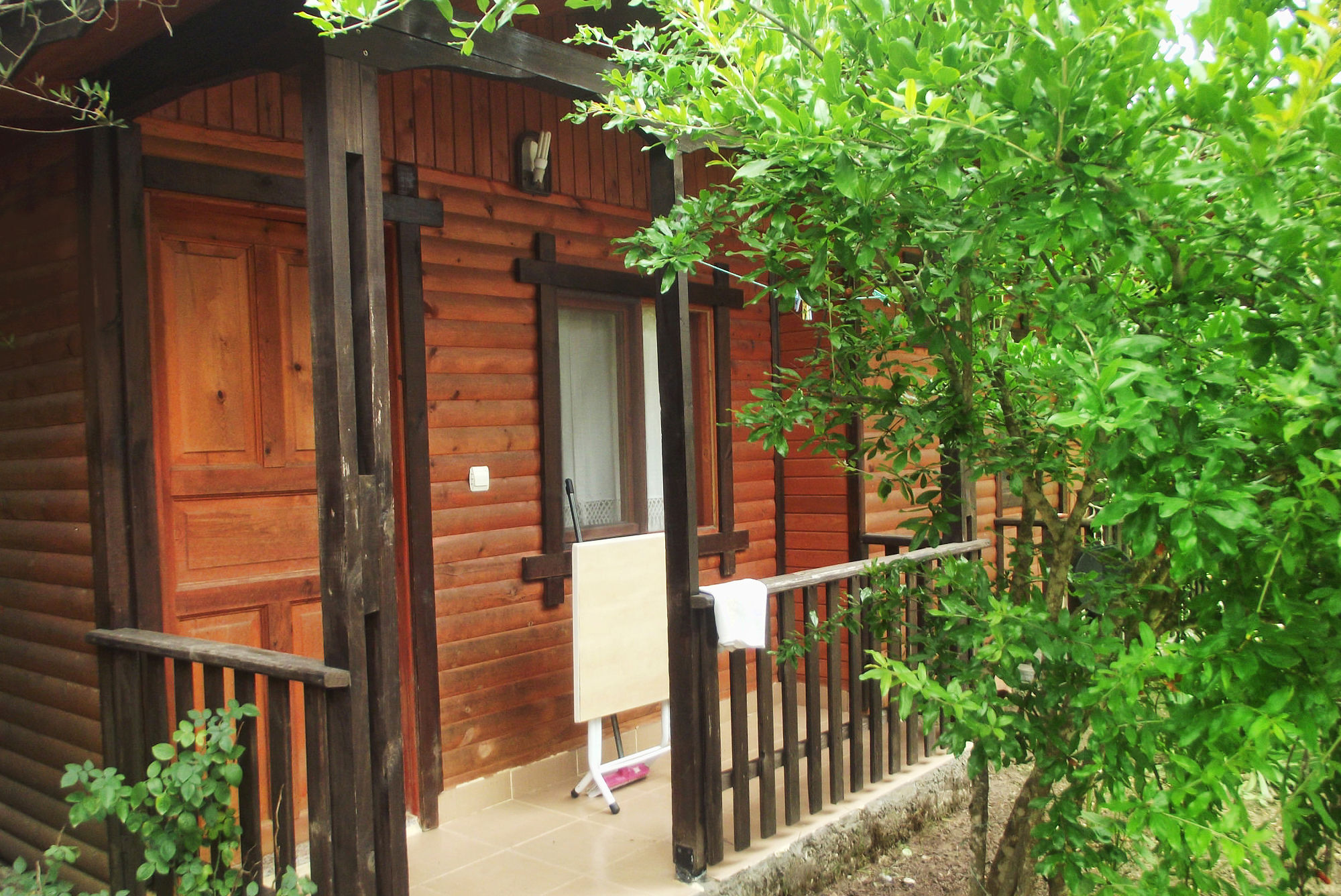 Koala Bungalows Olympos Zewnętrze zdjęcie
