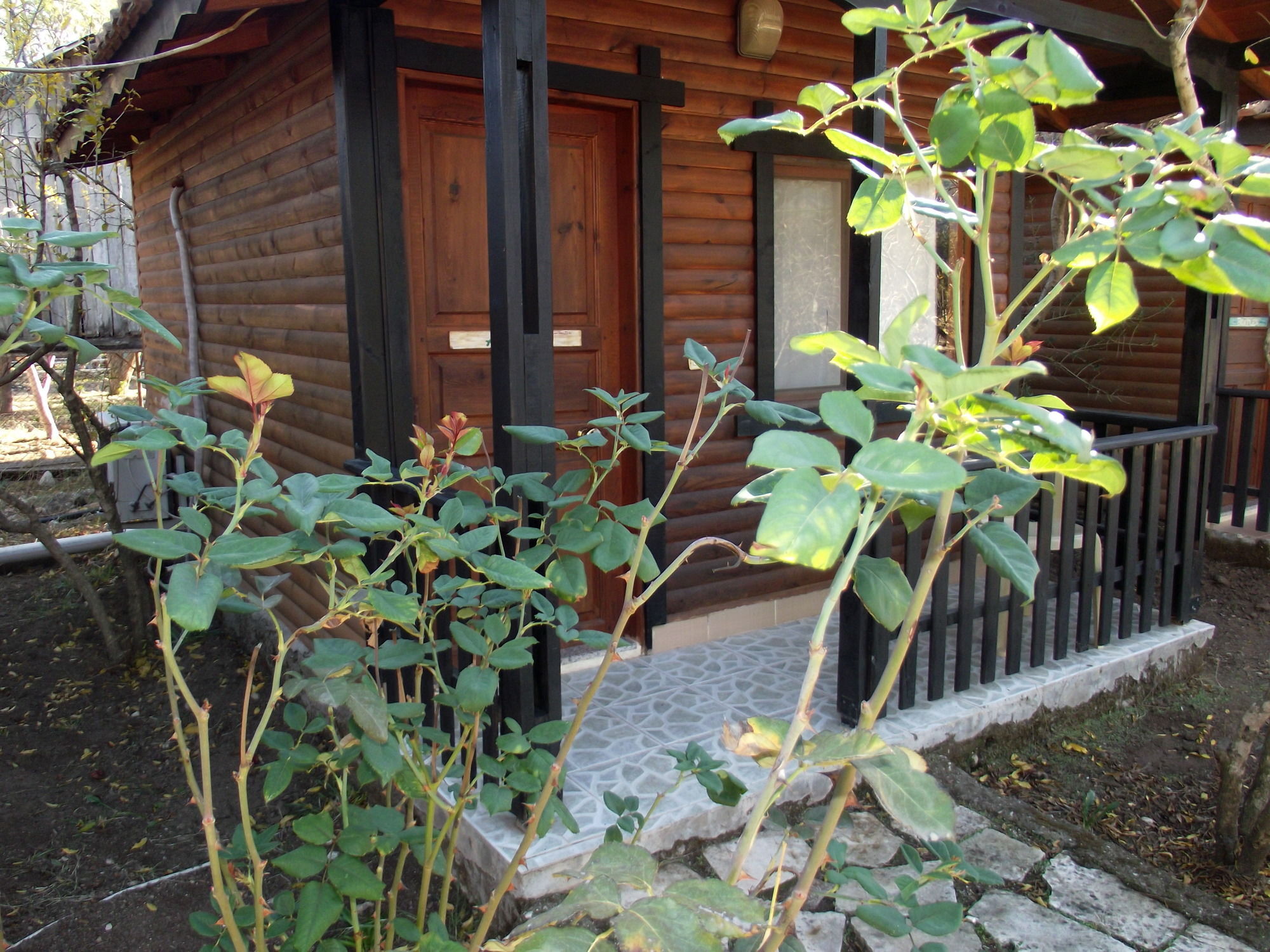 Koala Bungalows Olympos Zewnętrze zdjęcie