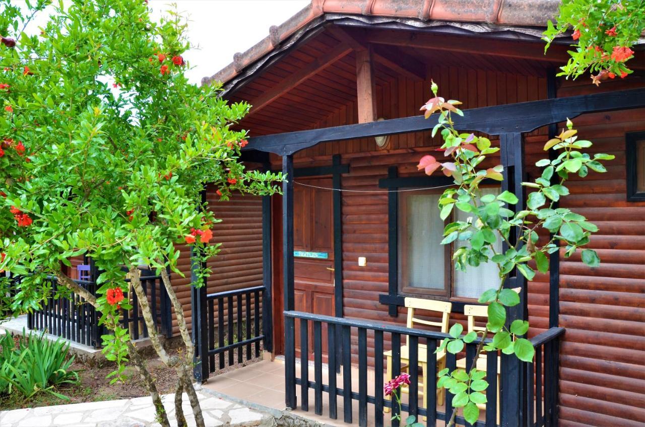Koala Bungalows Olympos Zewnętrze zdjęcie